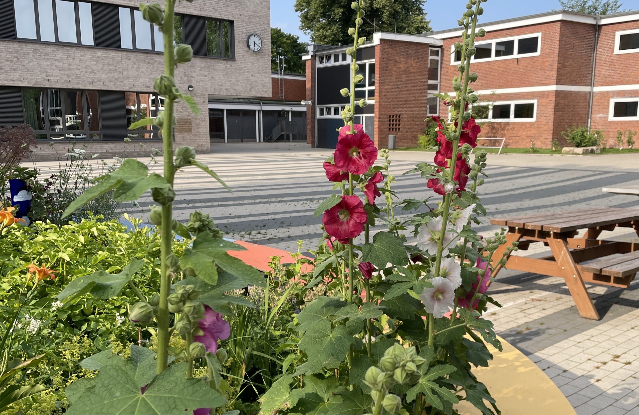 Die ganze Schule ist ein kunstvoller Garten