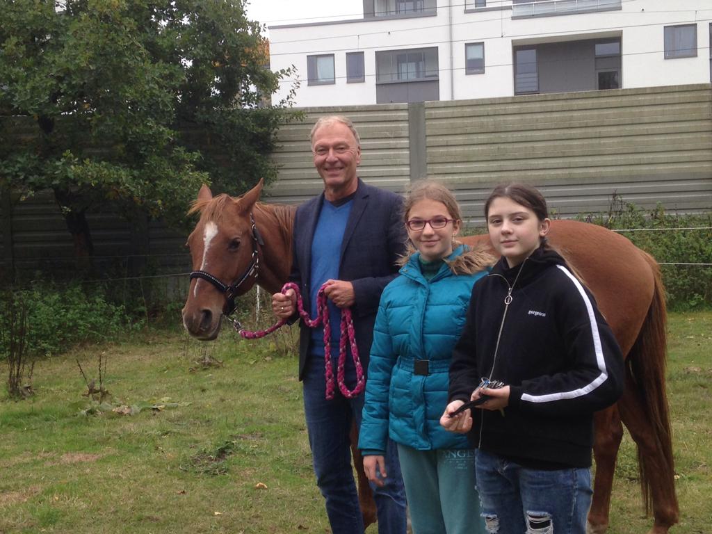 Unser Schulpony Lady